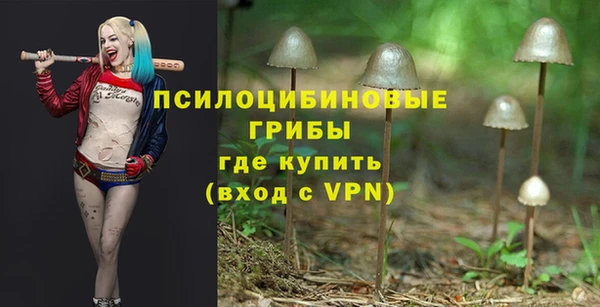 герыч Нязепетровск