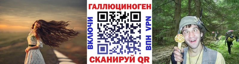 Галлюциногенные грибы Magic Shrooms наркотики Мамадыш